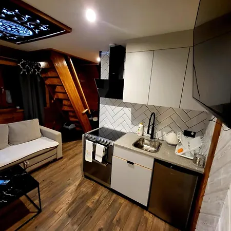 Gubalowski Apartment Nowe Bystre