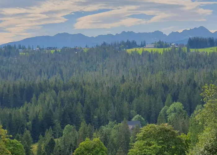 Gubalowski Nowe Bystre